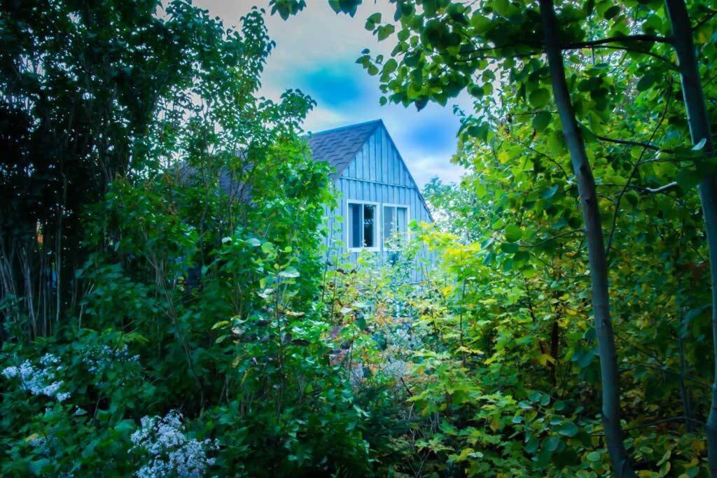 Chalet Mont Sainte-Anne Бопре Екстер'єр фото